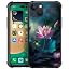Lotus Flower Dragonflys
