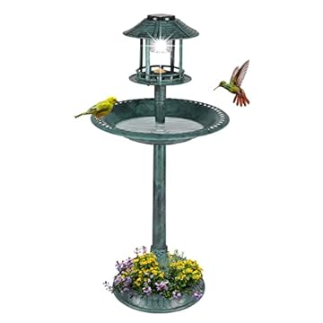 bird bath with solar light
