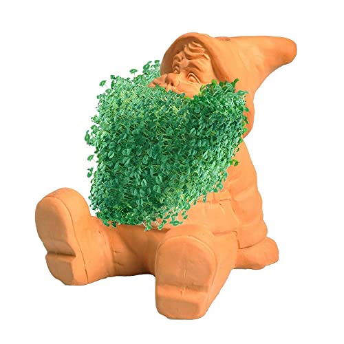 Chia Pet Gnome with Seed Pack, Decorative Pottery Planter, Easy to Do and Fun to Grow, Novelty Gift, Perfect for Any Occasion