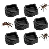 FUATY 6 Pcs Spider Micro Water Bowls, Mini Resin Dish for Tarantula, Spider, Millipede and Tiny Reptiles...