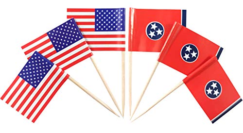 Pics à dents drapeau américain et Tennessee, mini drapeaux de décoration pour cocktails de buffet