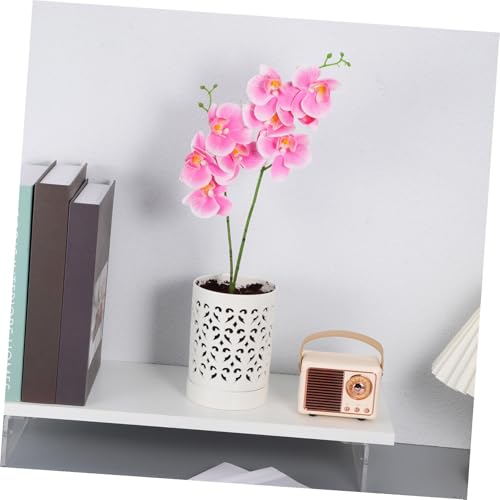 Pot orchidée céramique ajouré avec drainage efficace - 5