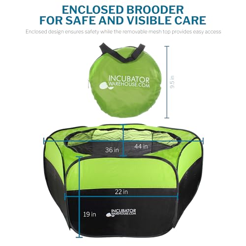 Insta Brooder Stylo couveuse fermée à régulation thermique pour hatchlings - 4