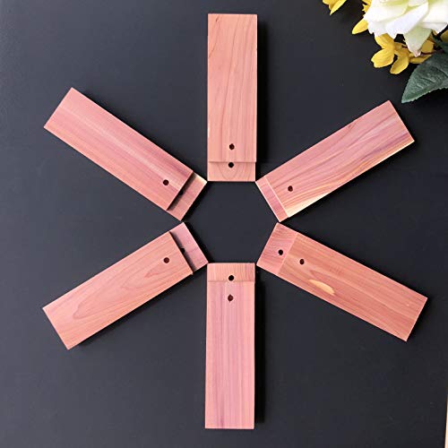 Homedo Cedar Sachets Bags, Cedar Chips For Closets And Drawers, Cedar Blocks For Clothes Storage, Cedar Wood Blocks Hanger (Cedar Hangs-50Pack) #TOP2