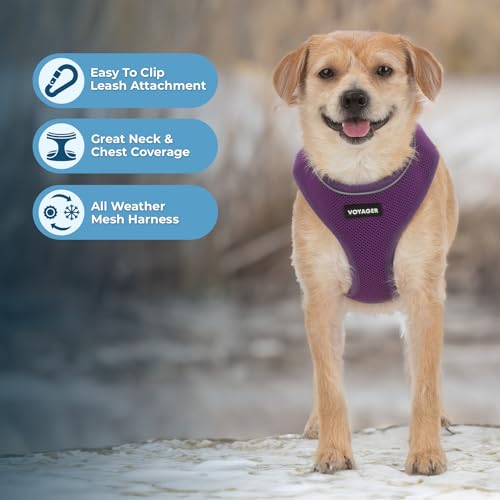 Image of Best Pet Supplies Voyager Aerolite Over the Head Dog Harness, No Pull Breathable Air Mesh Vest, Quick Dry with Reflective Stitching, Adjustable Escape Resistant Harness - Purple, Medium