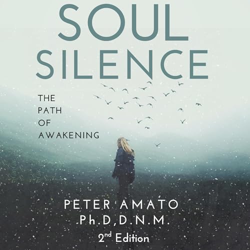 Page de couverture de Soul Silence