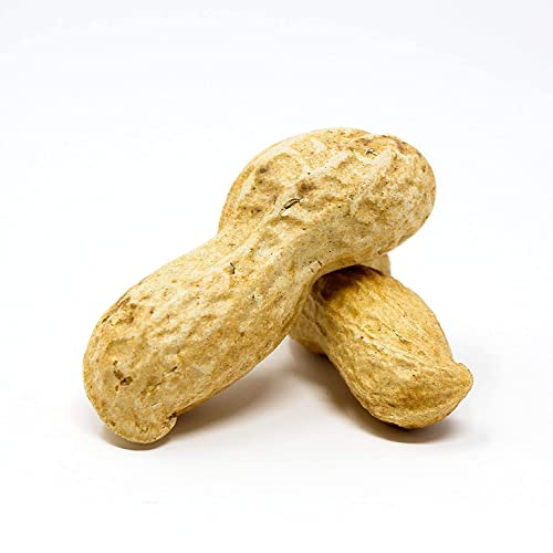 Crazy Nuts | Salted Roasted Peanuts In Shell, 2lb | Shelled Roasted Peanuts In Bulk, Salted Peanuts In The Shell, Peanuts Salted In Shell, Roasted Peanuts In Shell Salted - Thumbnail 4
