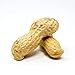 Crazy Nuts | Salted Roasted Peanuts In Shell, 2lb | Shelled Roasted Peanuts In Bulk, Salted Peanuts In The Shell, Peanuts Salted In Shell, Roasted Peanuts In Shell Salted