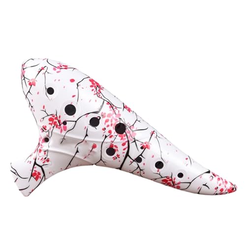 ????????? ?????? 12? ???AC ???????? ????? ?????C??(3)