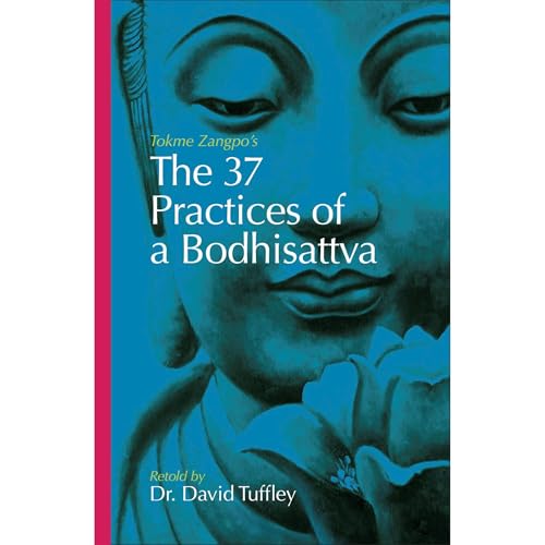 The 37 Practices of a Bodhisattva by David Tuffley episode artwork