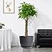 UOUZ 12inch Large Plant Pot, Modern Plastic Planter with High Driange Holes and Saucer for Indoor Outdoor Garden Plants and Flowers, Black