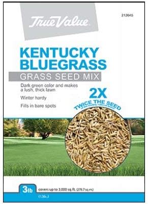 BARENBRUG USA TVKBG3 TV 3 lb Kentucky Bluegrass Seed