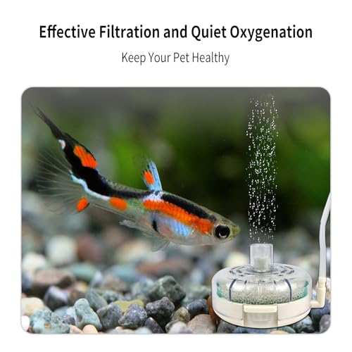 Image of Small Aquarium Sponge Filter, Small Fish Tank Filter & Mini Submersible Fish Filter Built-in Air Bubble Stone and Bio Sponge for Fish Tanks up to 5 Gallon (Air Pump Not Included)