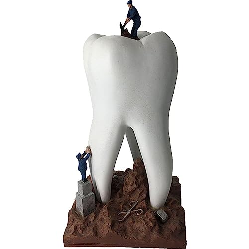 Wudaizhi Artesanía De Dientes De Resina Figuras De Esculturas Crafts Dental Toys Juguetes Dentista Regalo Artware Dientes Decoración De Muebles Escultura Escultura