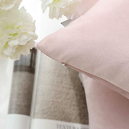 Phantoscope Velvet Decorative Throw Pillow Cover Soft Solid Square Cushion Case For Couch Light Pink 12 X 20 Inches 30 X 50 Cm #TOP1