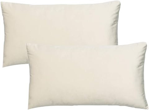 VAKADO Beige Lumbar Velvet Soft Solid Throw Pillow Cases Decorative Rectangle Cozy Cushion Covers Home Decor for Living Room Couch Sofa Car 12"x20" Set of 2