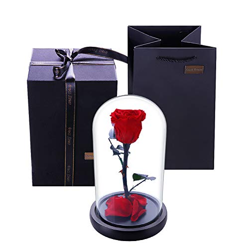 Zhuotop Ewige Rose Konservierte Blume für Ewigkeit mit Glasbezug Einzigartige Echte Rose Geschenk für Frauen, Freundin, Mutter, Rot Rose