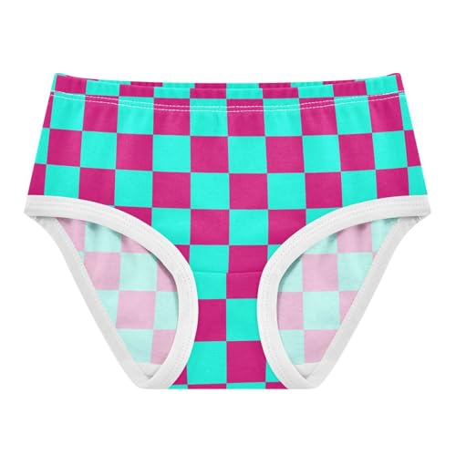 Teal and Pink Buffalo Checkered Toddler Girls's Underwear 2T