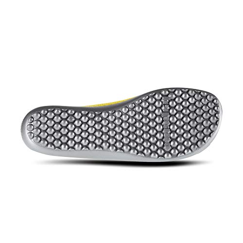 Leguano 1000904046