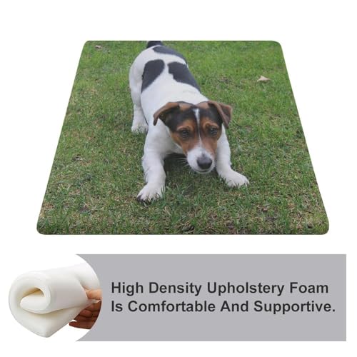 Cojín de espuma viscoelástica Jack Russell lavable para asiento suave 4