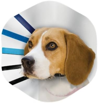KONG E-Collar for Dogs, Large, Clear