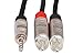 Hosa HMR-010Y REAN 3.5 mm TRS to Dual RCA Pro Stereo Breakout Cable, 10 Feet