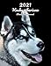 2021 Husky siberiano Planificador Semanal: 123 Páginas | Tamaño A4 | Calendario | 14 Meses | 1 Semana en 2 Páginas | Agenda Semana Vista | En español | Perro