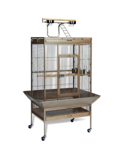 212 Main 36 in. x 24 in. x 66 in. Wrought Iron Select Cage - Coco