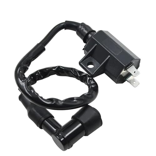 Bobina de encendido para Kawasaki Bayou 220 KLF220 de alta presión (1988-1993)