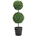 Admired By Nature GTR7681-GREEN 18" Tall Artificial Tabletop English Boxwood Double Ball Shaped Topiary Plant in Plastic Pot, Green, Single Pack