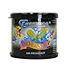 Treefrog Squash Scent Air Freshener Auto Car Office Home Long Lasting 2.8Oz