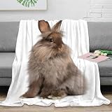 ✔Blanket Taille: Taille de l'enfant (1pcs Blanket Throw): 1 lancer de couverture 100x130cm (40x50in) ， une seule taille (1pcs de couverture): 1 lancer de couverture 130x150cm (50x60 pouces), double taille (1pcs de couverture): 1 lancement de couverture 150 × 200cm (60 × 80in) parfait à utiliser lorsque les nuits froides à regarder la télévision, en lisant un livre sur un entraîneur, en regardant un film ou un chat au coin du feu （en particulier le camping et le pique-nique).