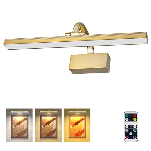 RAIFOOLLY Picture Lights for Wall, Battery Painting Light with Remote Dimmable and Timer, 3 Lighting Modes Art Display Light, Wall Decorative Lighting for Canvas, Portrait,Frame