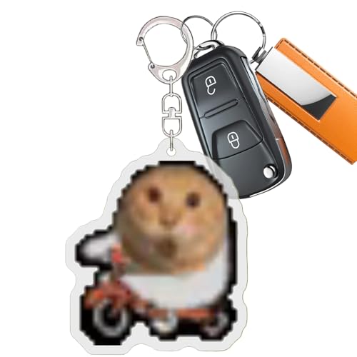 Xiixuuj Porte-clés en forme de chat | Porte-clés amusant en acrylique – Pendentif en forme de petits animaux pour adolescents, adultes, quotidien, voyage, fête, anniversaire, Chat cycliste