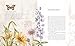 The Way of the Wildflower: Gospel Meditations to Unburden Your Anxious Soul