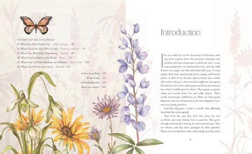 Image of The Way of the Wildflower: Gospel Meditations to Unburden Your Anxious Soul
