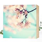  Wunderpixel® Holzbild Kirschblüte - 15x15x2cm echter Foto-Druck auf Holz - Wandbild Holzschild Holzdeko Dekoration Geschenk-Idee Poster Kunstdruck Aufsteller Home Deko - rosa Blüten der Kirsche