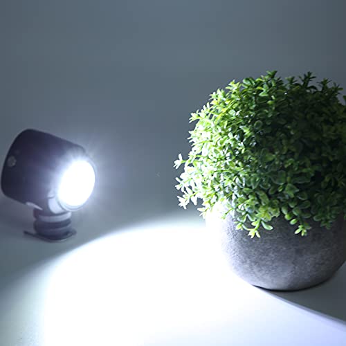 Tauchbares Fülllicht, Tauch-LED-Fülllicht, 40 M Wasserdichtes 7500 K -Unterwasserkamera-Videolicht, mit Rotem Licht, Blaues Licht, für Verschiedene Umgebungen