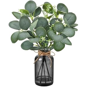 Der Rose 13.5" Fake Plants for Black Bathroom Decor Artificial Eucalyptus Stems in Black Glass Vase with Faux Water for Office Desk Accessories Farmhouse Home Table Centerpiece Decor（Sage Gr