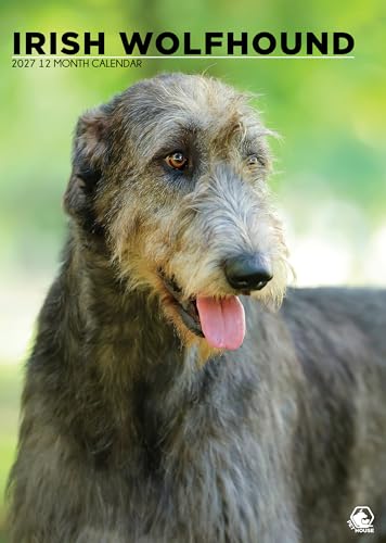 Calendario Irish Wolfhound 2027 grande A3 el regalo perfecto de Navidad para amantes caninos