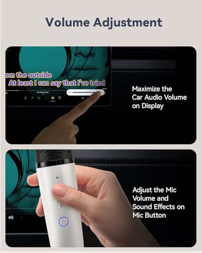 LvDonic Karaoke Mic for Tesla