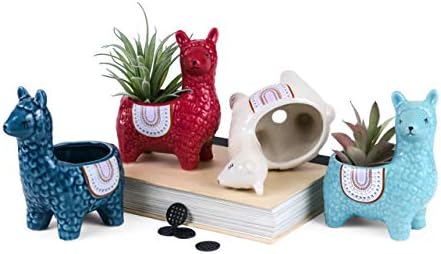 Cute Alpaca Succulent Pots, 4 Pc. Set Animal Planter, Decorative Ceramic Planters for Natural Indoor Gardens and Cacti, Colorful Office and Home Decor for Living Room, Kitchen, or Desk