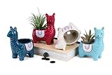 Cute Alpaca Succulent Pots, 4 Pc. Set Animal Planter, Decorative Ceramic Planters for Natural Indoor