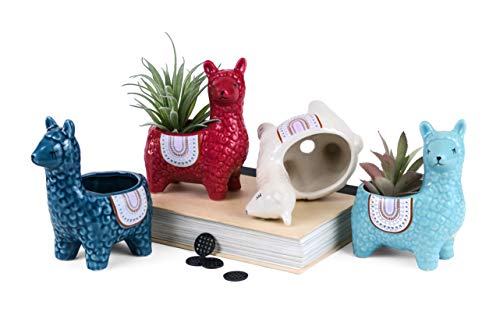 Cute Alpaca Succulent Pots, 4 Pc. Set Animal Planter, Decorative Ceramic Planters For Natural Indoor Gardens And Cacti, Colorful Office And Home Decor For Living Room, Kitchen, Or Desk #TOP29