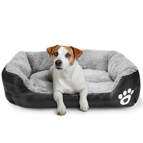 BELLE VOUS Cuccia Cane Impermeabile Nera - Letto per Cane e Gatto di Taglia Piccola/Media in Memory Foam con Fondo Antiscivolo - Lavabile in Lavatrice