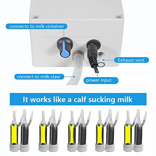 Machine à traire électrique chèvre à double tête et pompe à vide réglable 5L - 5