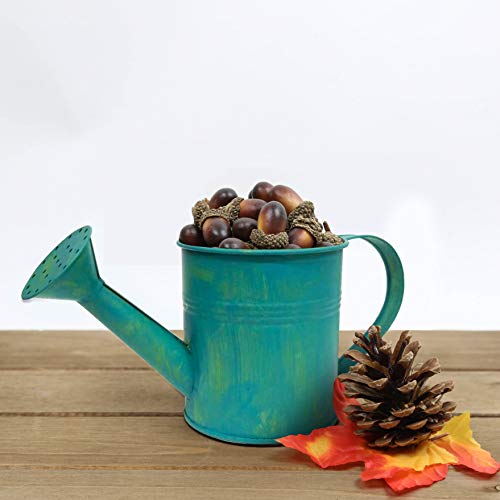 Better Crafts Metal Watering Can #TOP4