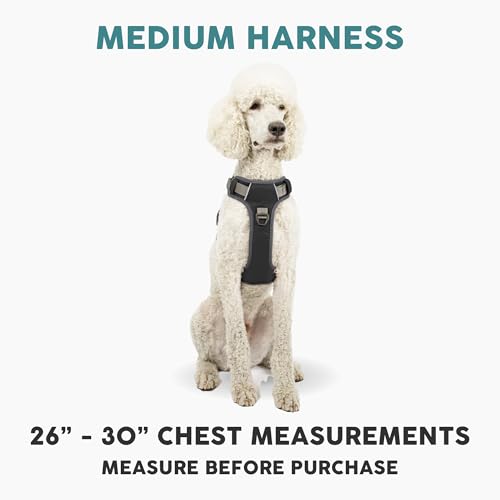 Embark Active Dog Harness, Easy On and Off with Front and Back Leash Attachment Points & Control Handle - No Pull Training, Size Adjustable and No Choke (Medium - Black)