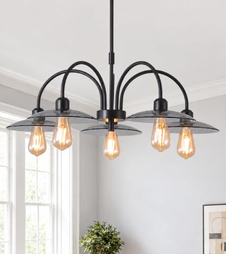 Q&S Black Farmhouse Chandelier, Glass Hanging Light Fixture for Dining Room