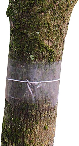 Gardening Naturally Clear Glue Bands For Fruit Trees 5m Long, Includes String. Stops Crawling Insects Control 16cm Wide